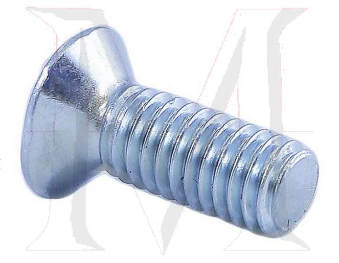 CHROME SCREW