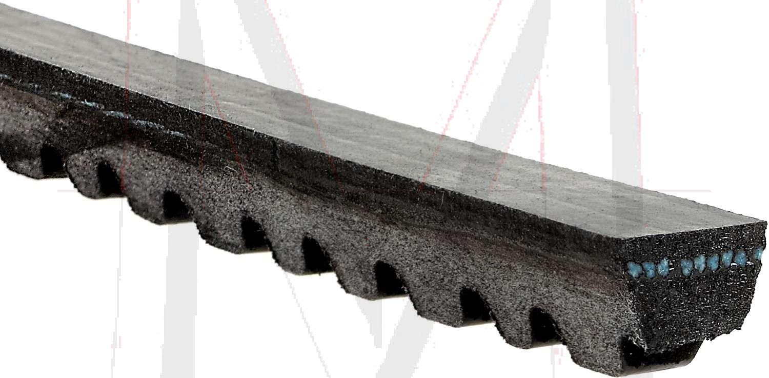 230SL ALTERNATOR BELT - 10X875