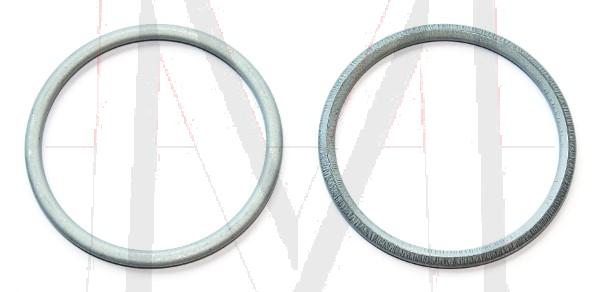 SEAL RING